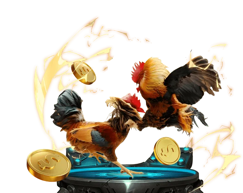 Đá gà cựa sắt tại ok 988.vip